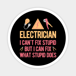 Funny Electrician Magnet